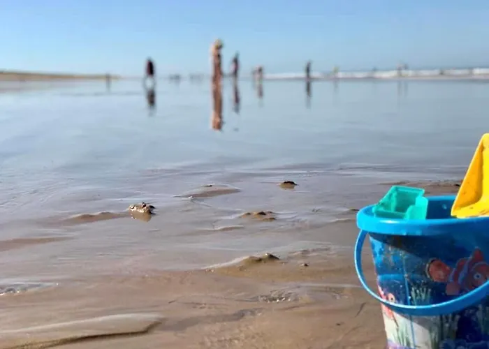 度假居 Maison Familiale 3 Avec Jardin, Piscine Commune, A 150m De La - - Fr-1-231-146 布雷蒂诺斯梅尔